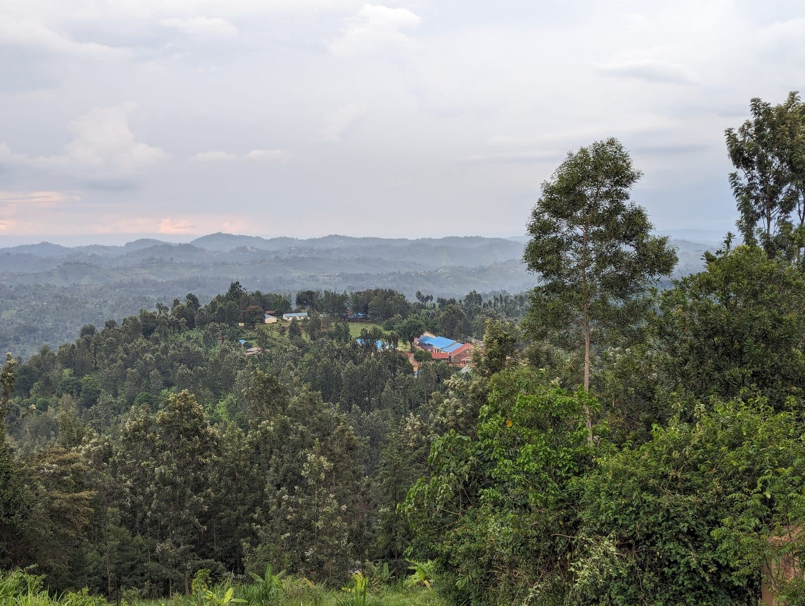 Green highland ridges and homesteads at dusk — home in Kenya